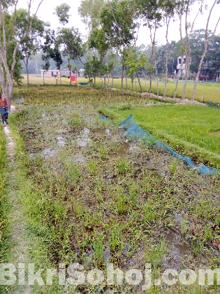 সূলভ মূল্যে বাড়ির জমি কিনুন!!!